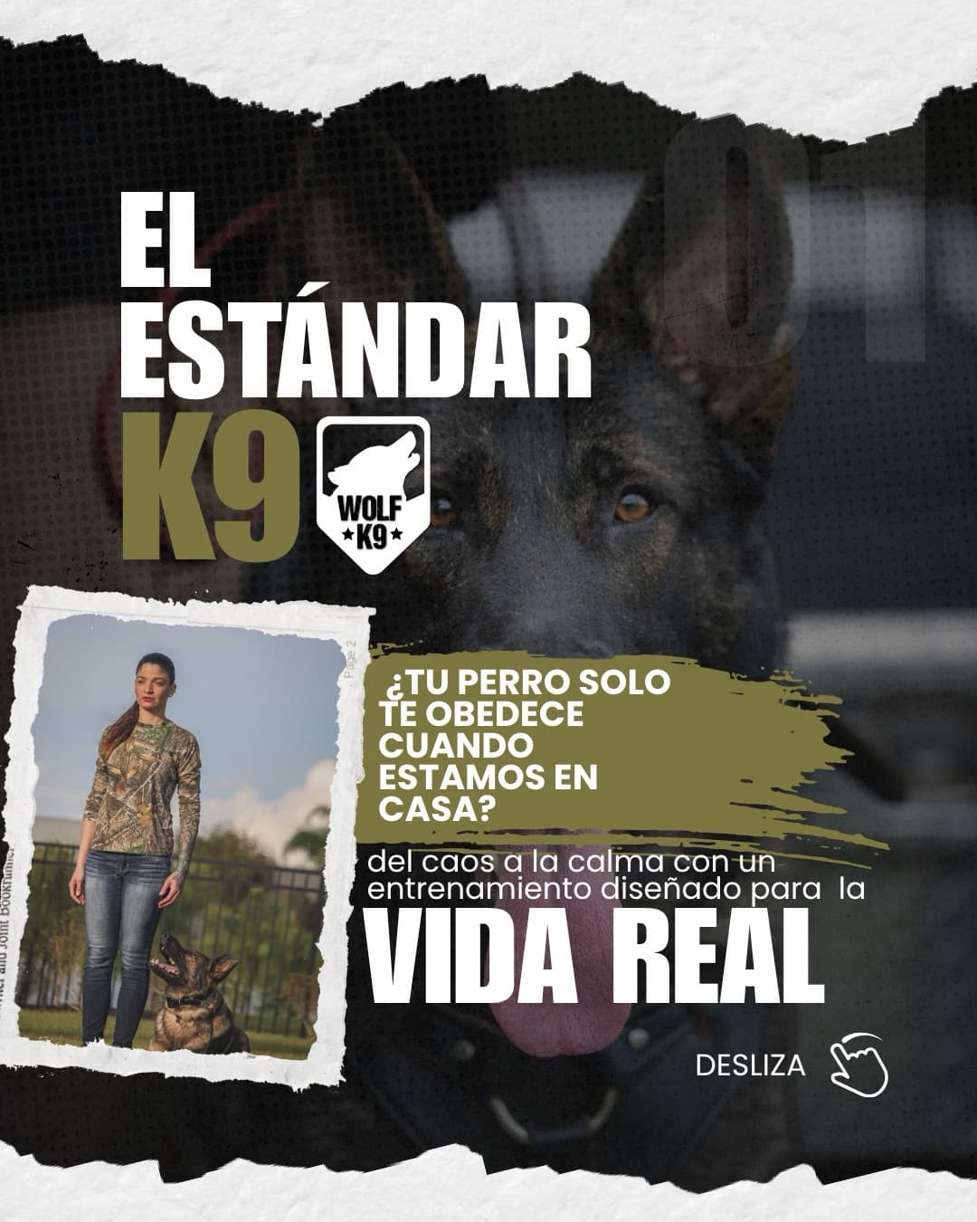 The K9 standard: obedience for real life