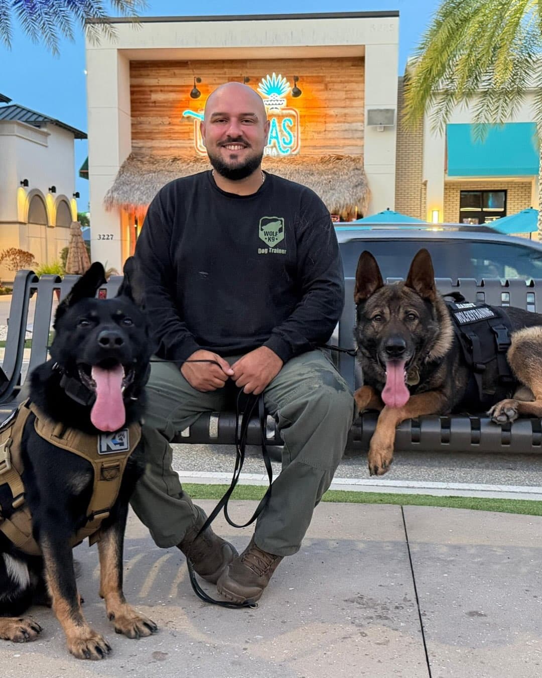 José González, founder of Wolf K9 Training, with two German Shepherds in Central Florida