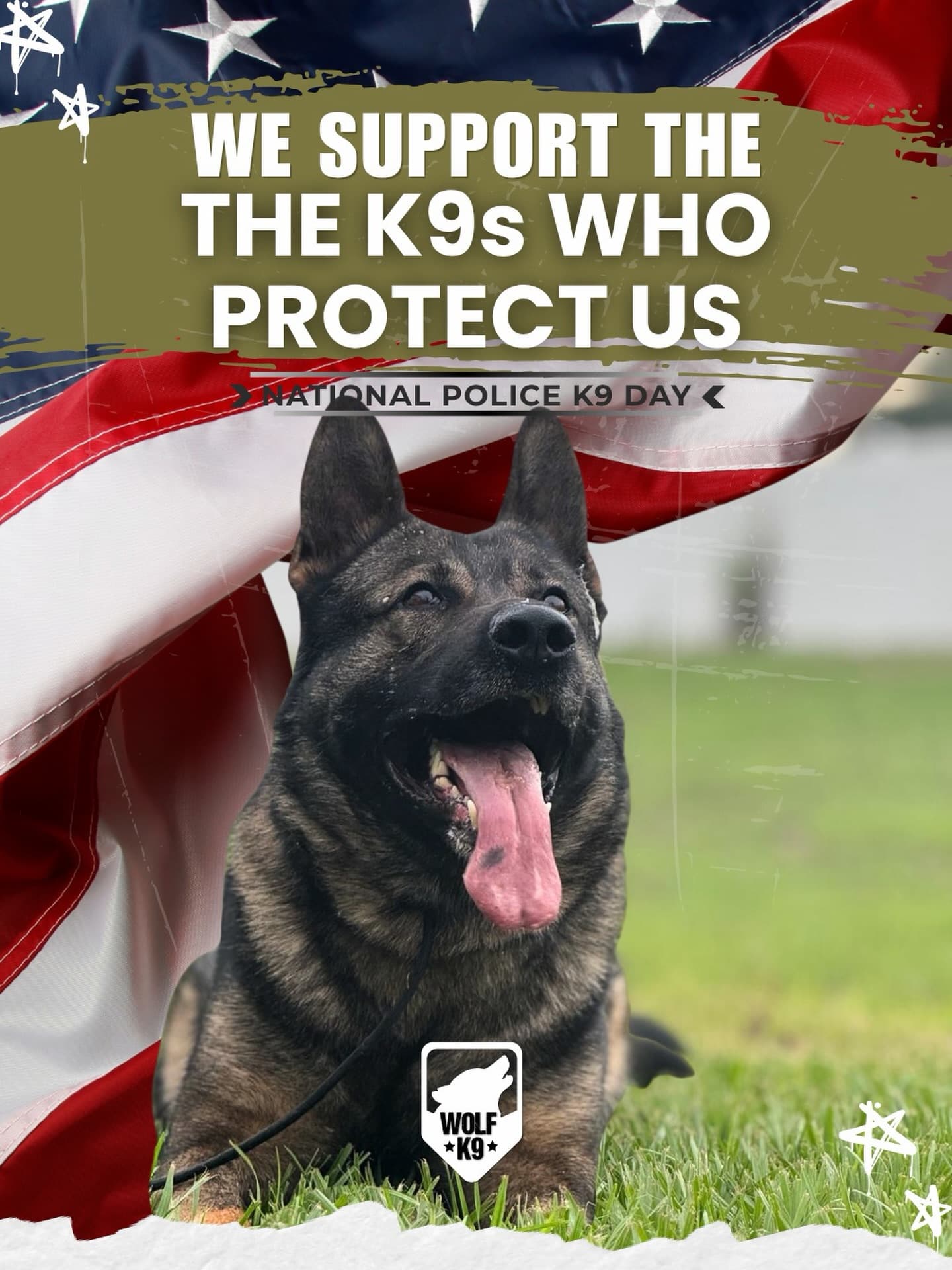 German Shepherd for National Police K9 Day