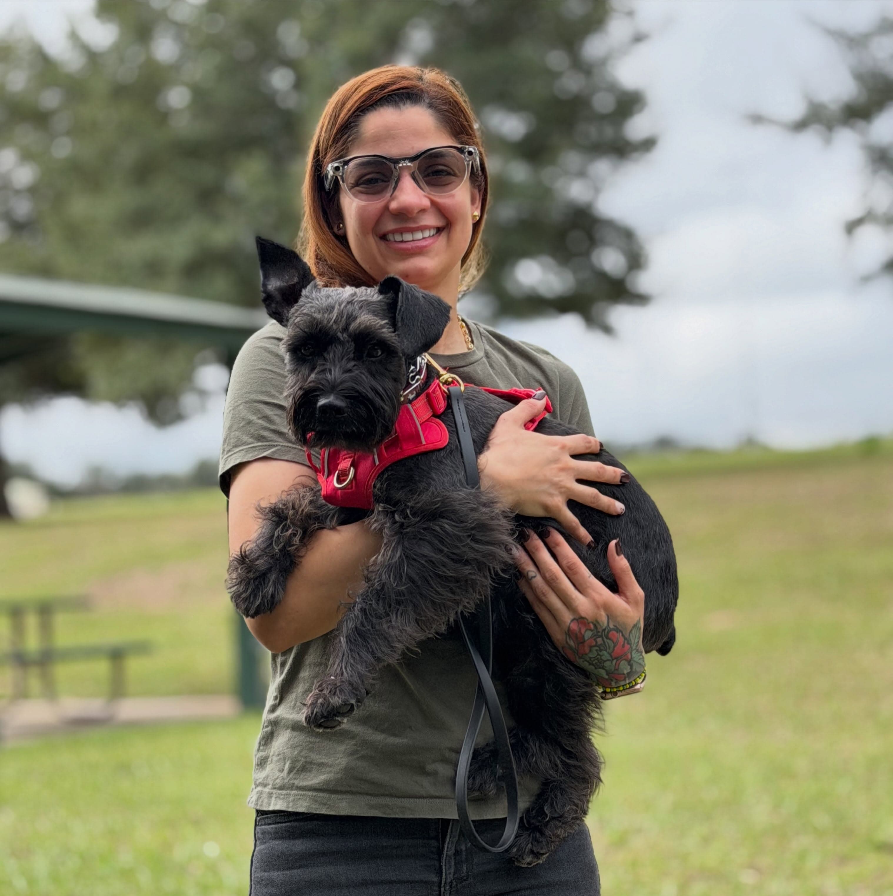 Trainer holding Zeus, a grey schnauzer, in a park